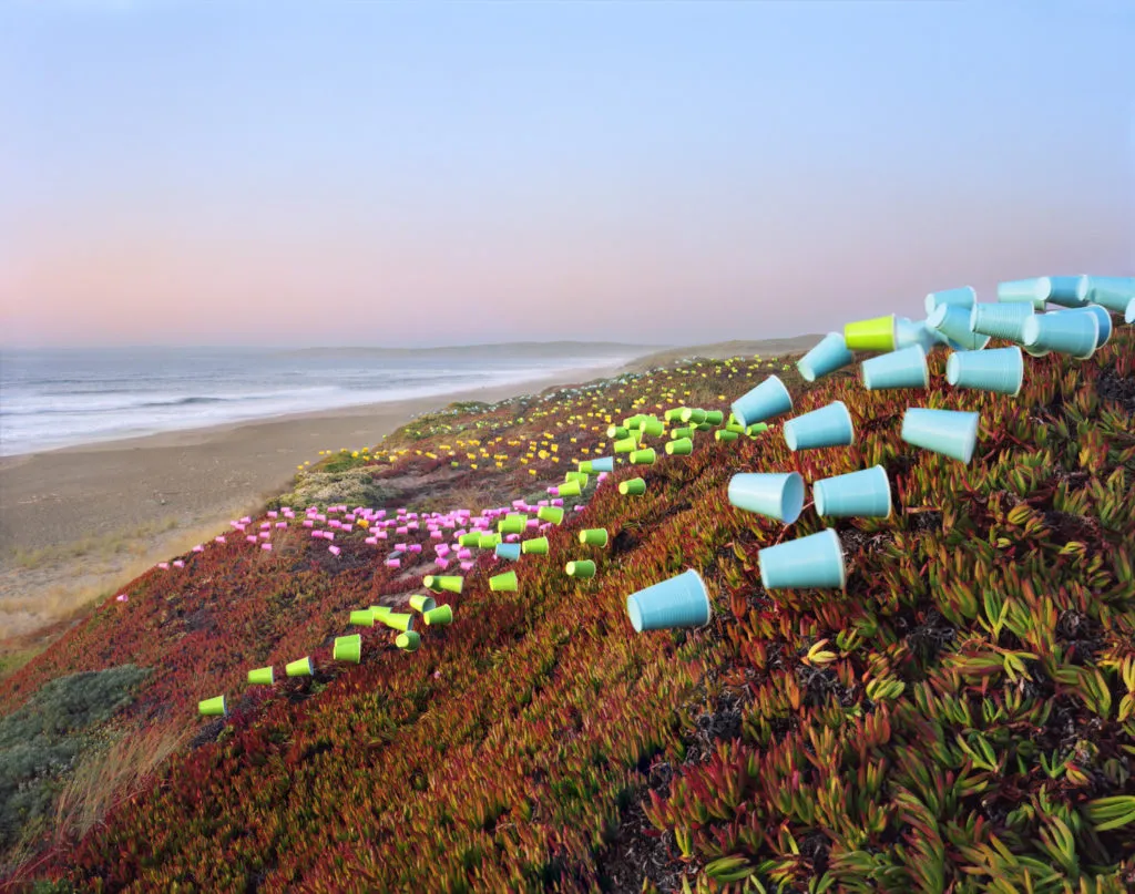 Thomas Jackson, Cups no. 5, Point Reyes National Seashore, 2019