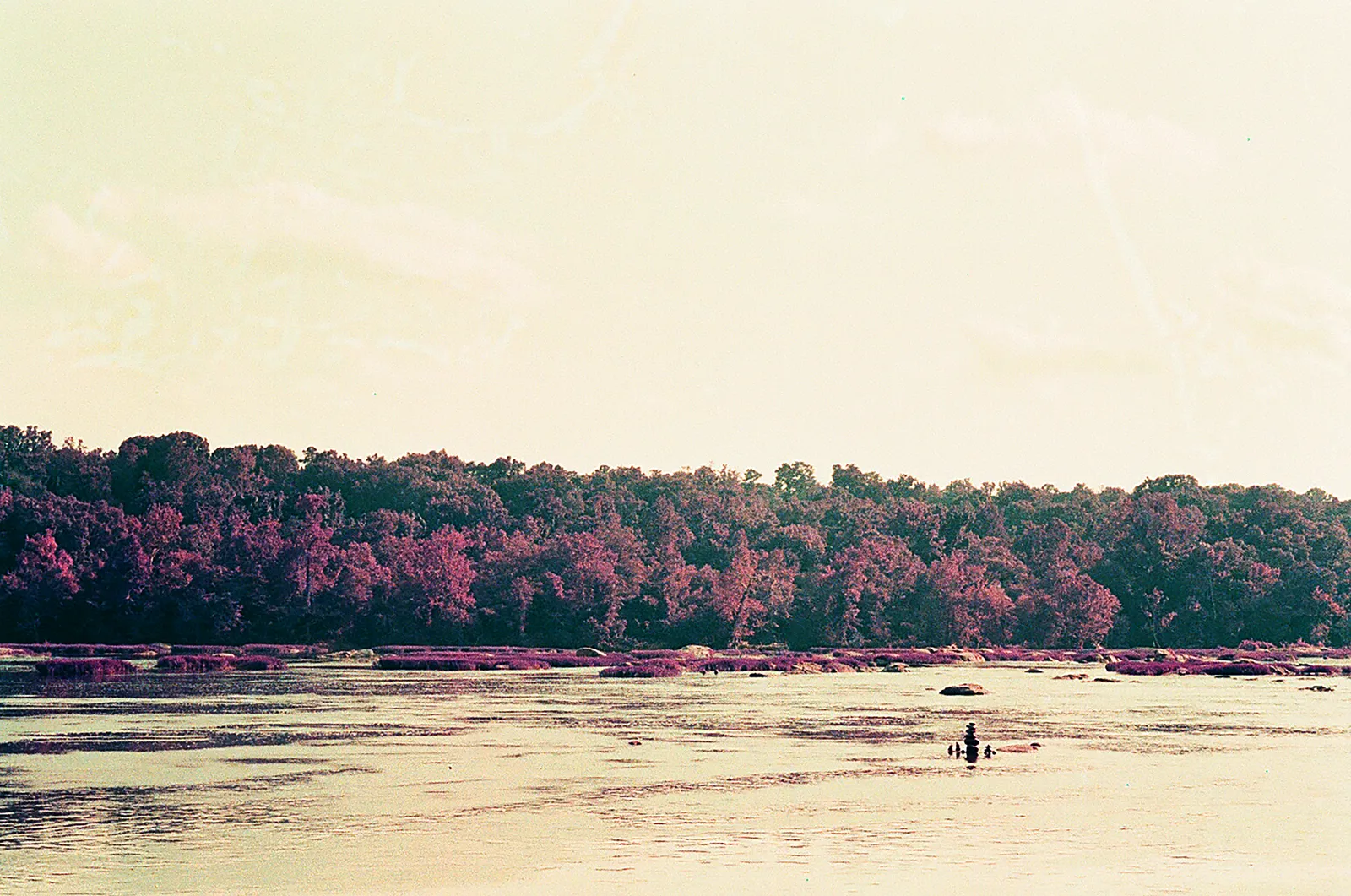 Cate Duckwall, Wetlands 2, 2023