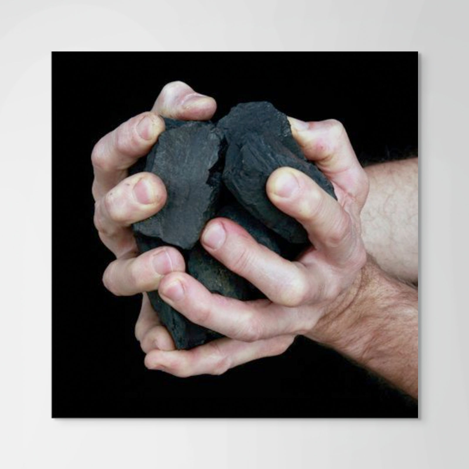 Holly Morrison, Heart, 2013