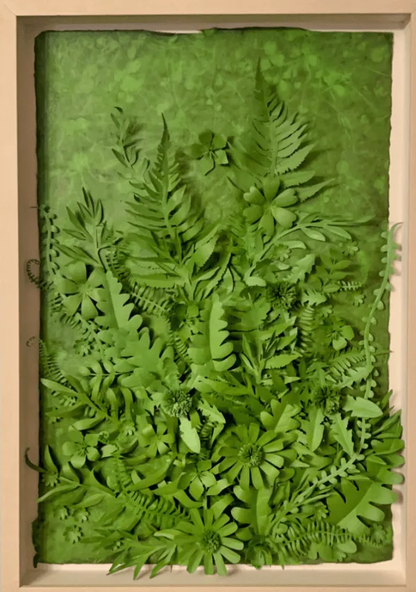 Raven Smith, Forest Green