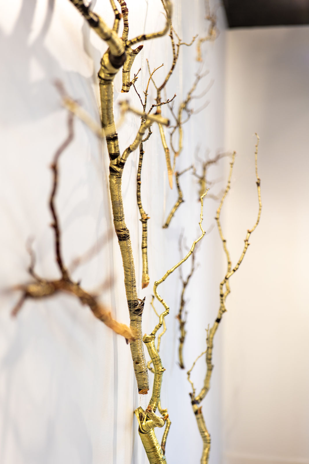 Peter Cochrane, A Continuum, 2025