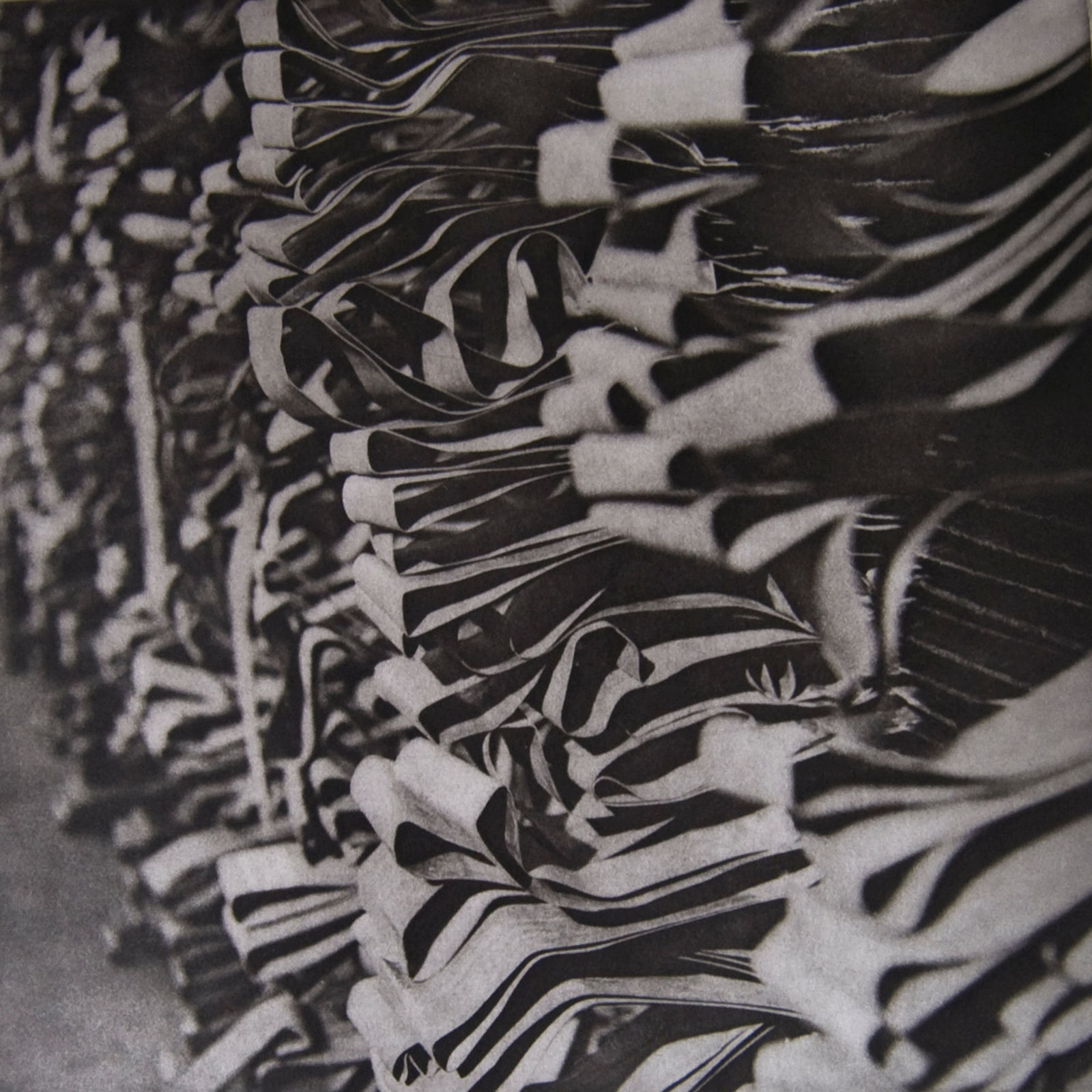 Angela Franks Wells, Tabs, 2023