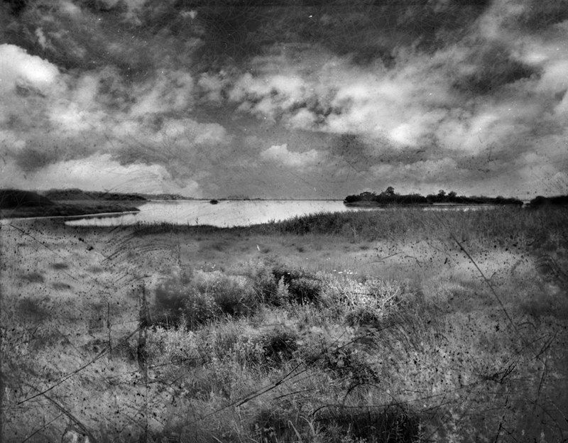 David Douglas, Large Study Landscape at Assateague Island, 2025