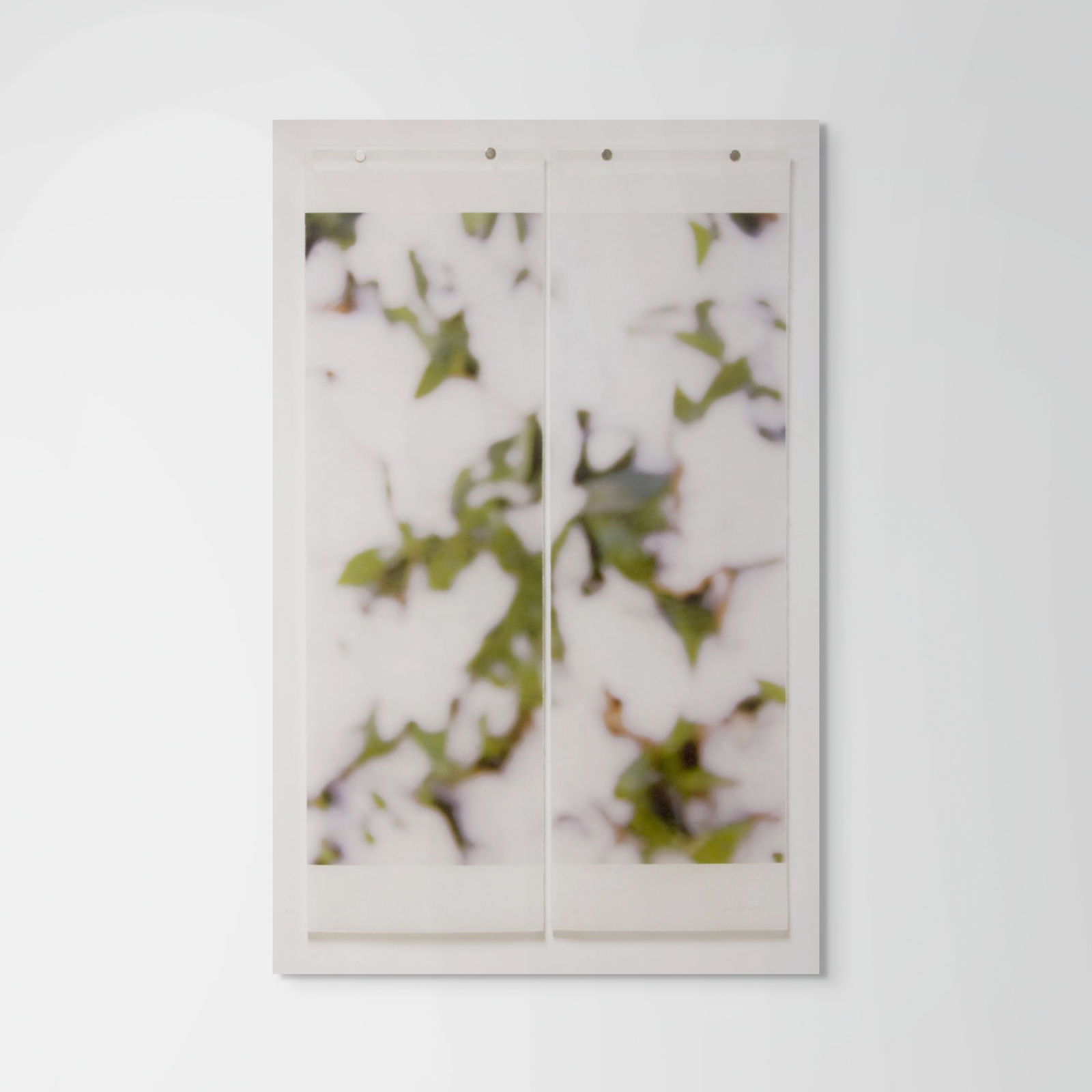 Jeri Eisenberg, First Snow (Myrtle)