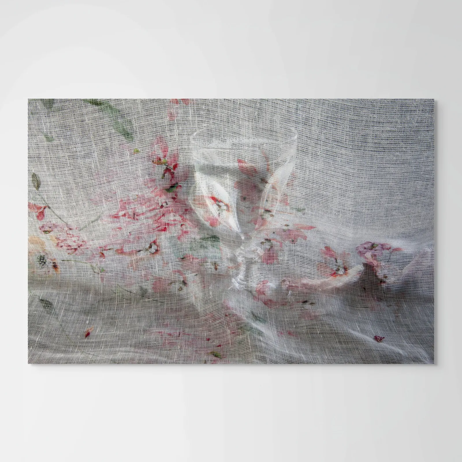 Pam Fox, Rind and Cup, 2018