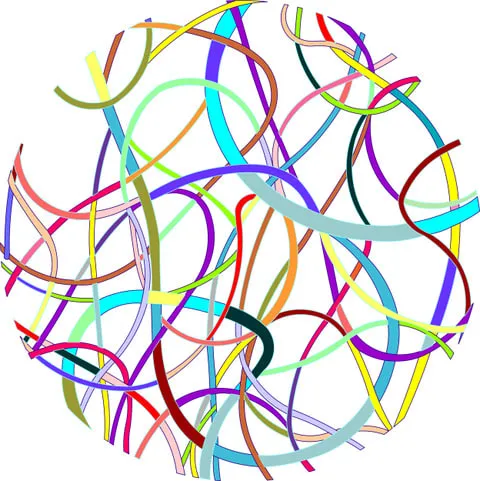 Steve Bickley, Avo, 2021