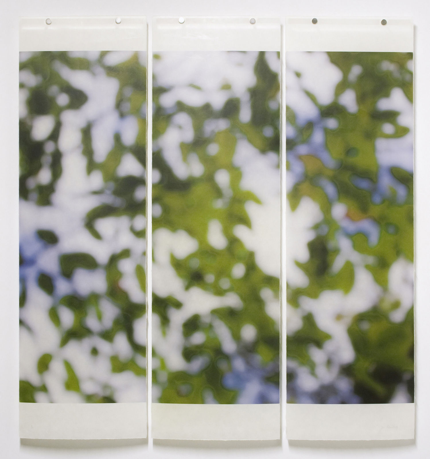 Jeri Eisenberg, Summer Greens & Sky