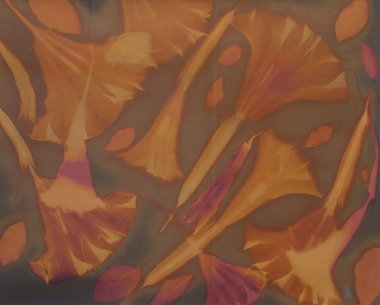 Willie Anne Wright, Brugmansia Fantasy, 2011