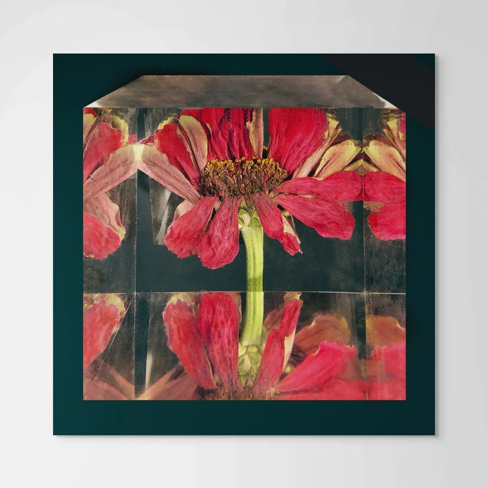 John Grant, Abstract Views 5, 2023