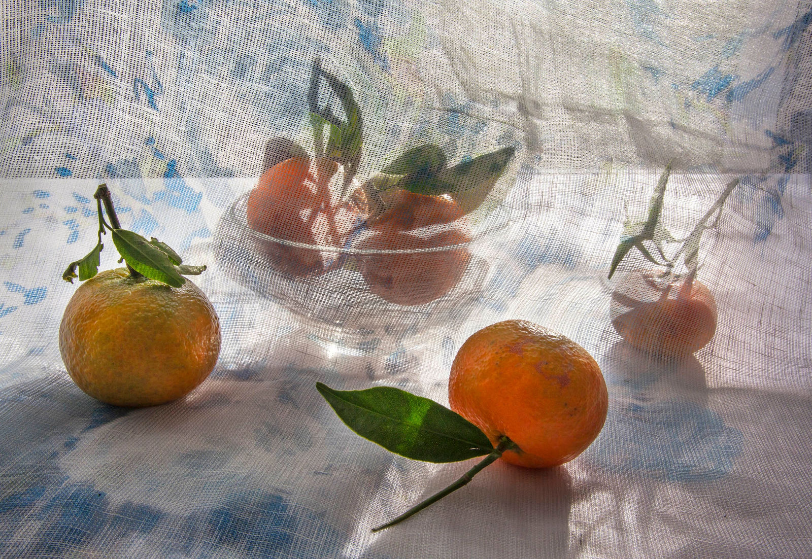 Pam Fox, Five Small Oranges, 2018