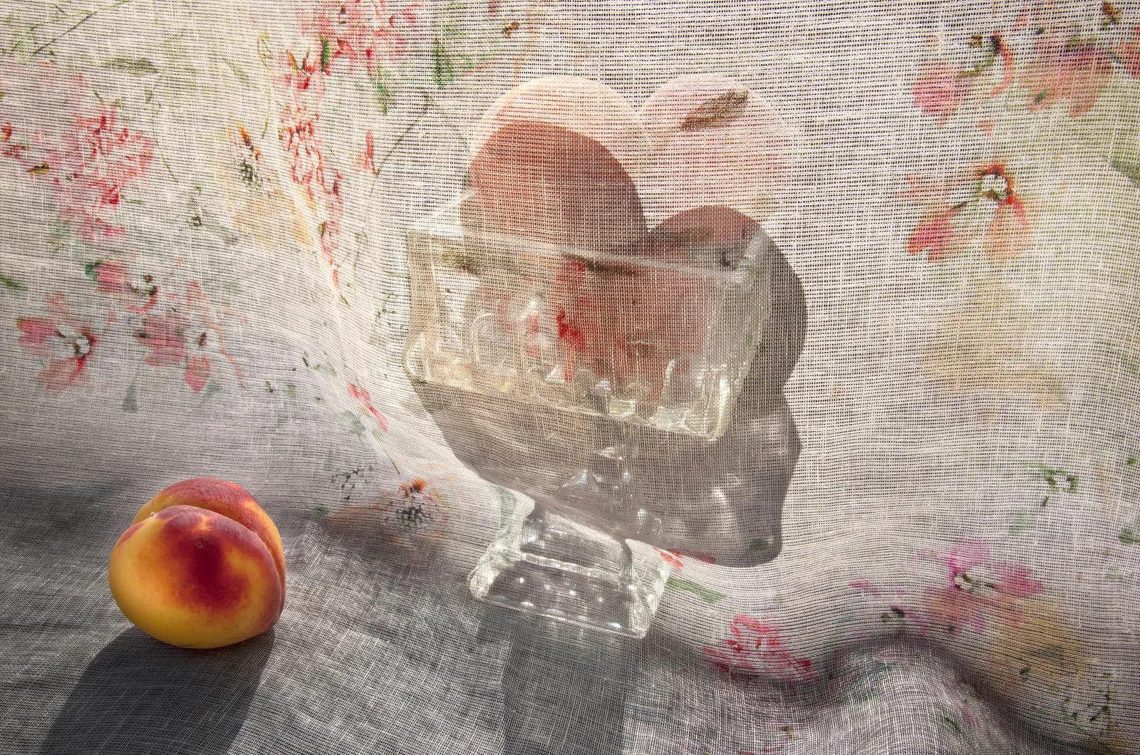 Pam Fox, Four Peaches, 2018