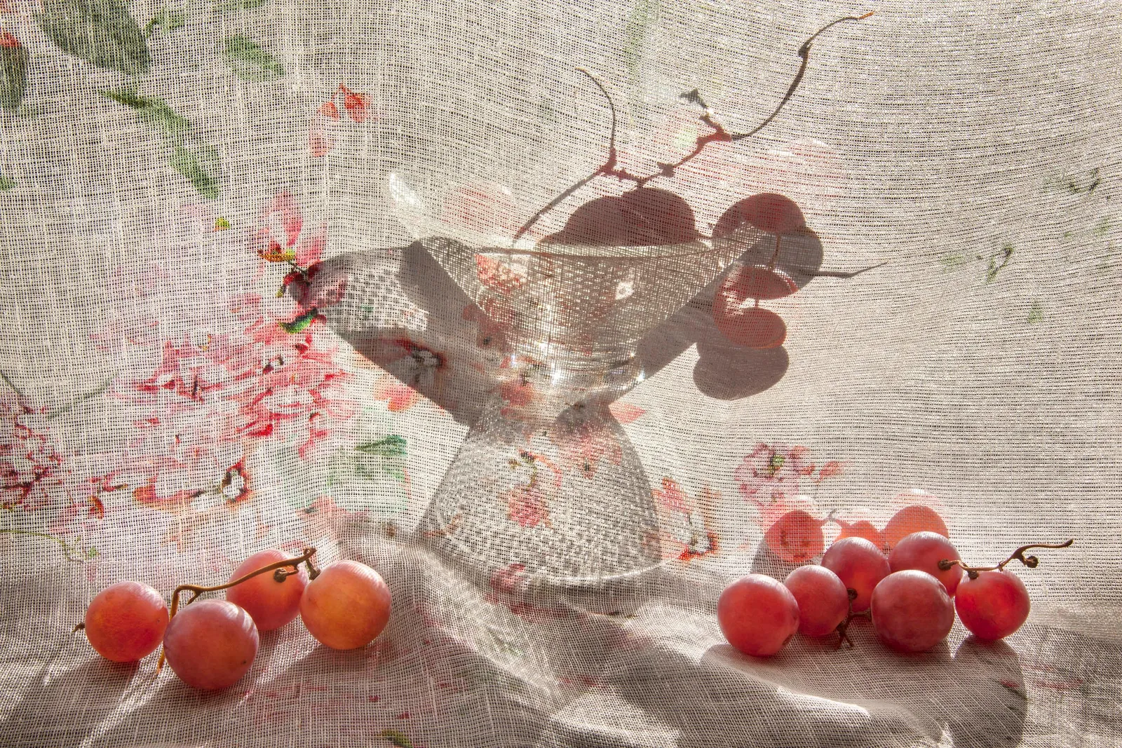 Pam Fox, Grapes and Bowl, 2018