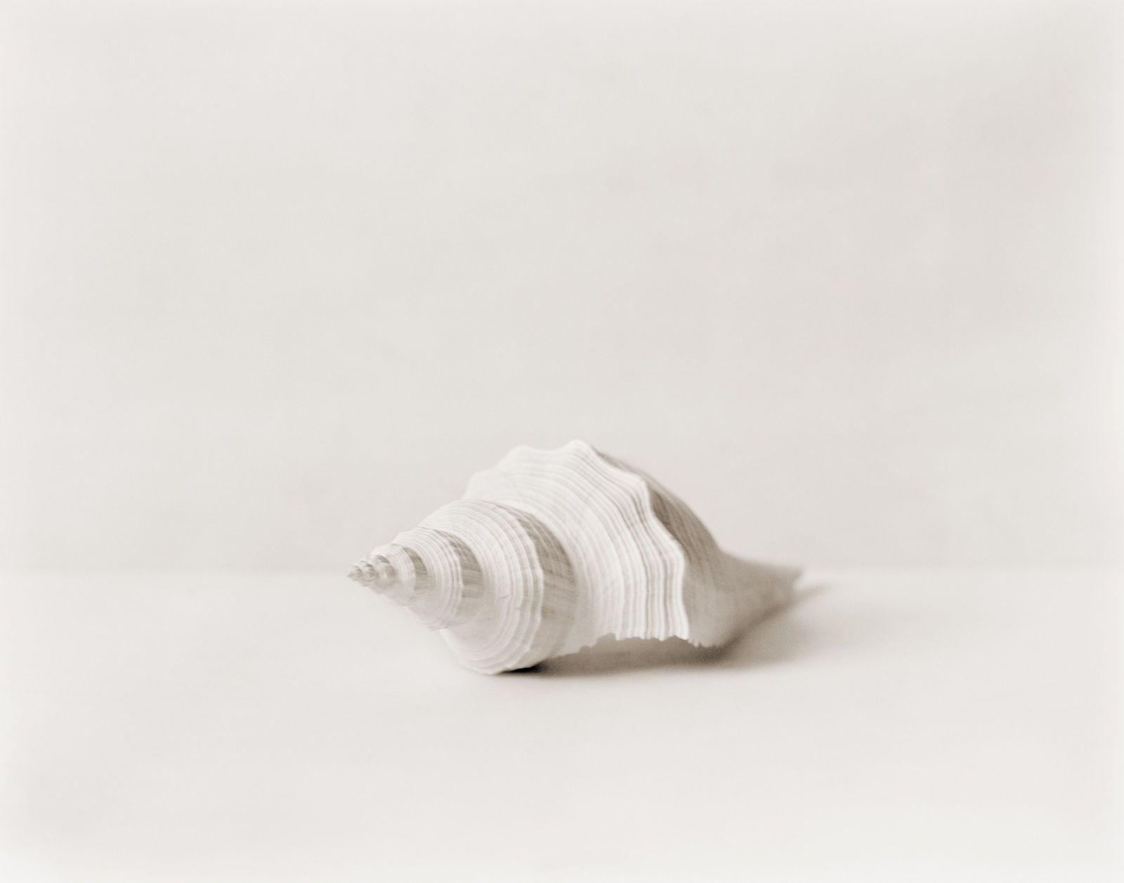 David Halliday, Shell, 2003