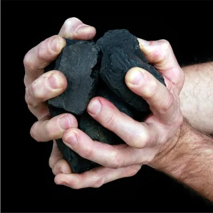 Holly Morrison, Heart, 2013