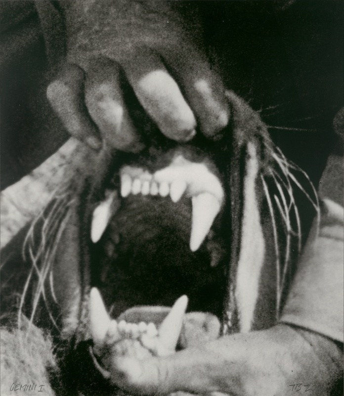 John Baldessari, Hands & Feet: Hands. Tiger & Teeth, 2017