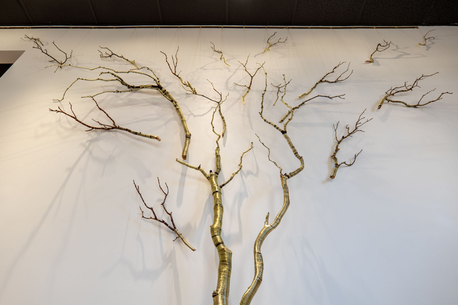 Peter Cochrane, A Continuum, 2025