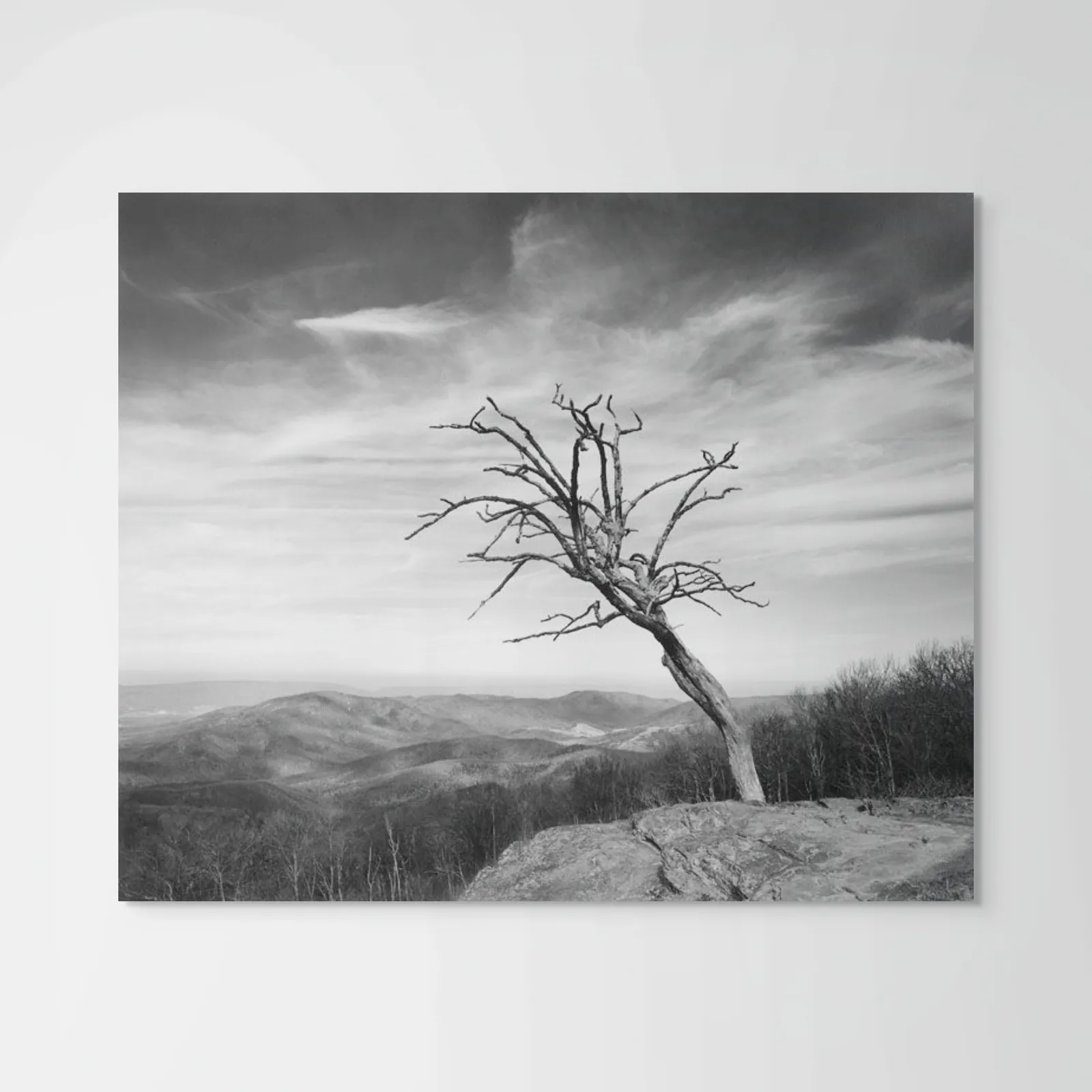 Hullihen Moore, Baldface Mountain Overlook, 1981