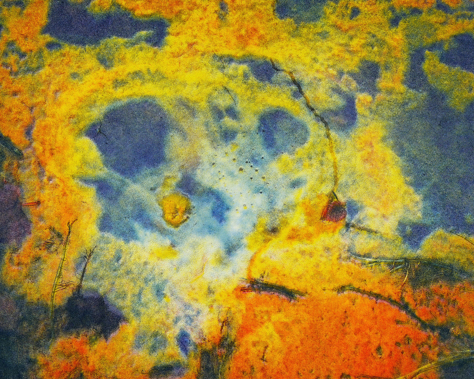 Peter Cochrane, Year Two, Winter, 2021