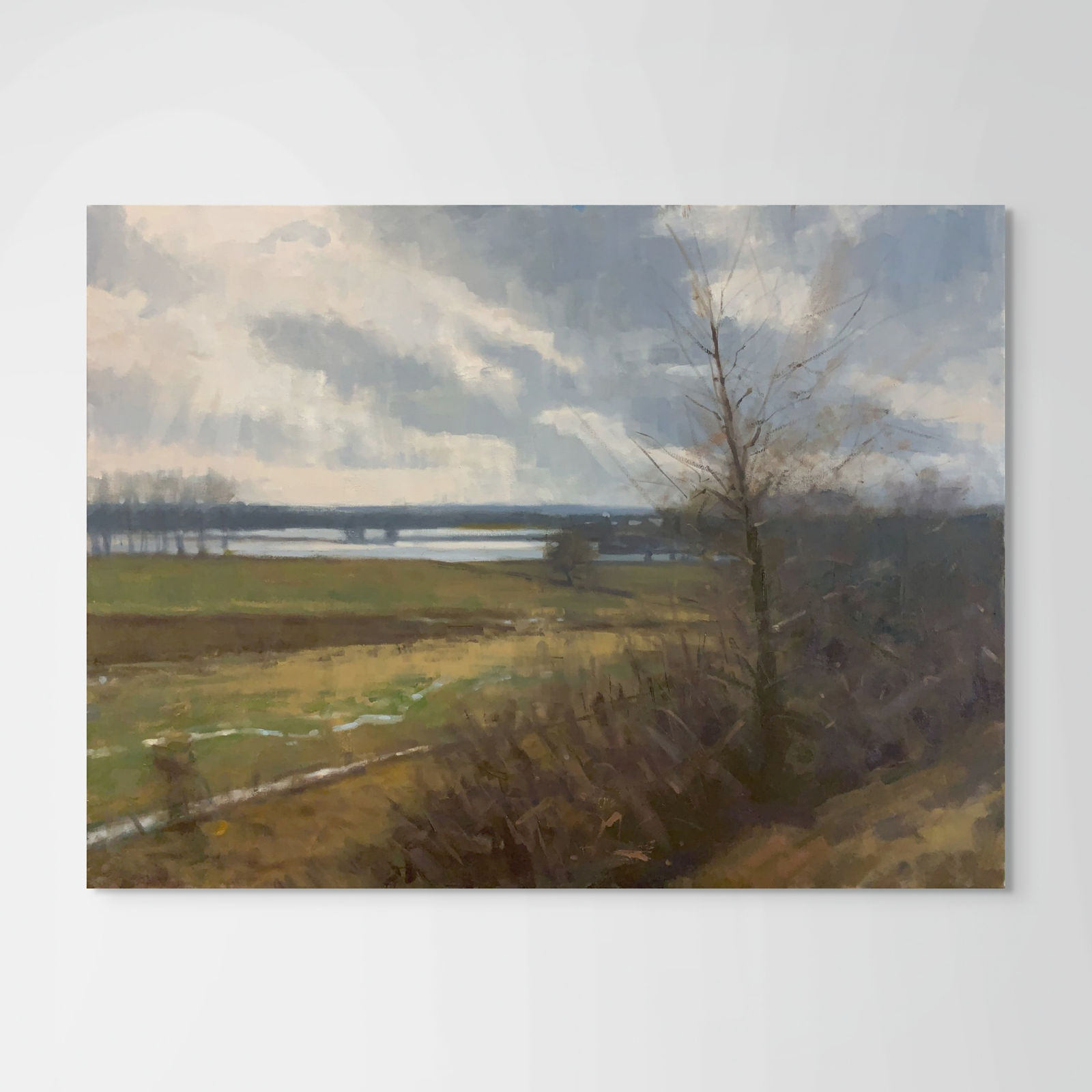 Frank Hobbs, Flooded Fields