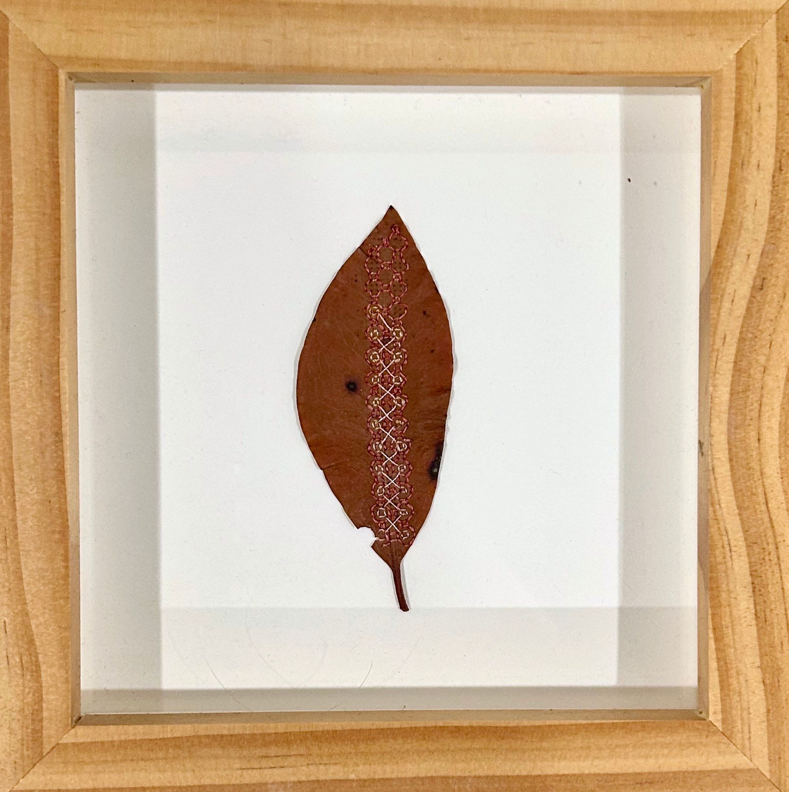 Hillary Waters Fayle, Stitched Botanical 1, 2023