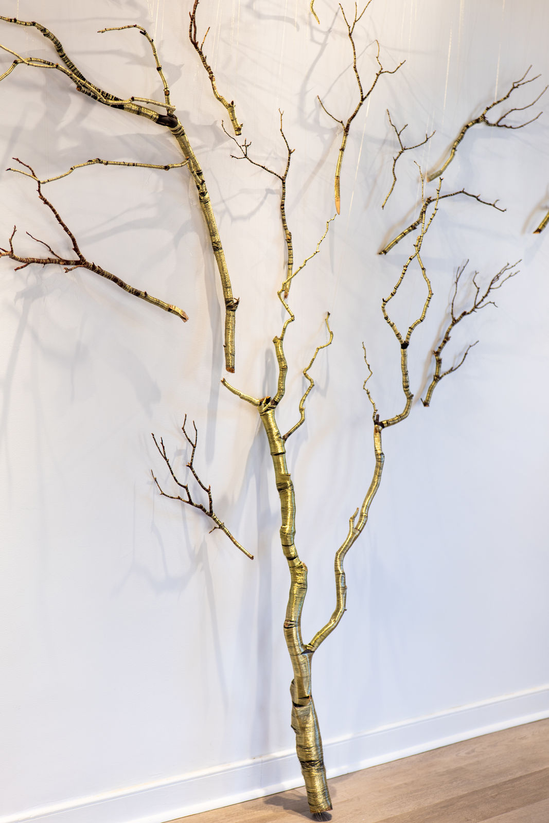 Peter Cochrane, A Continuum, 2025