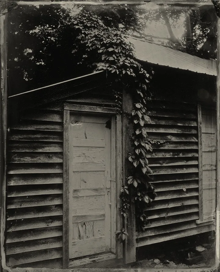 Emily White, Leave Me a Place Underground, 2017