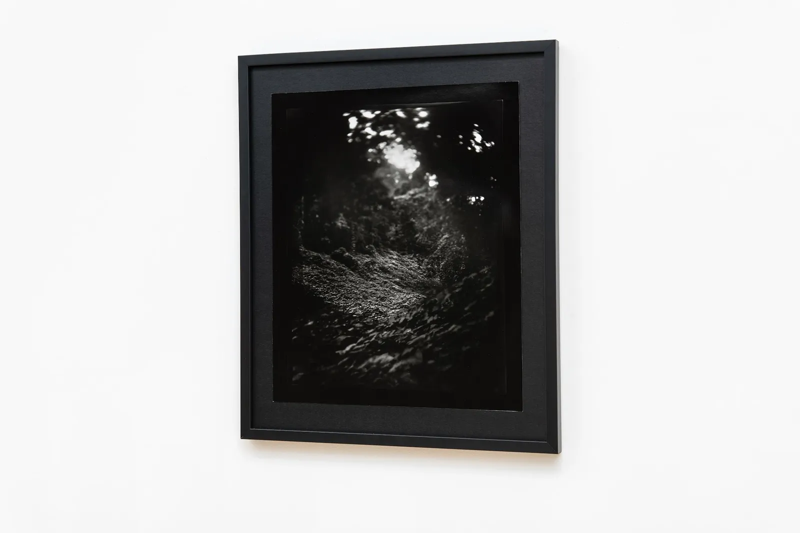 Emily White, Goshen, 2021