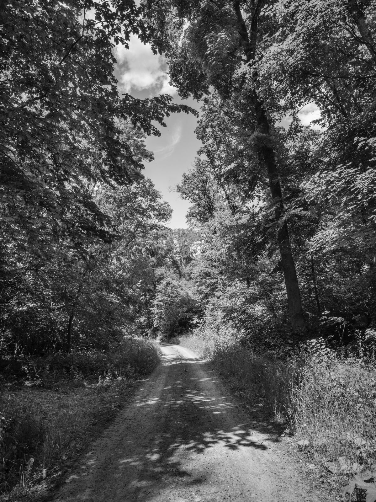 William Wylie, #23-932, Erfurt, Germany, 2023