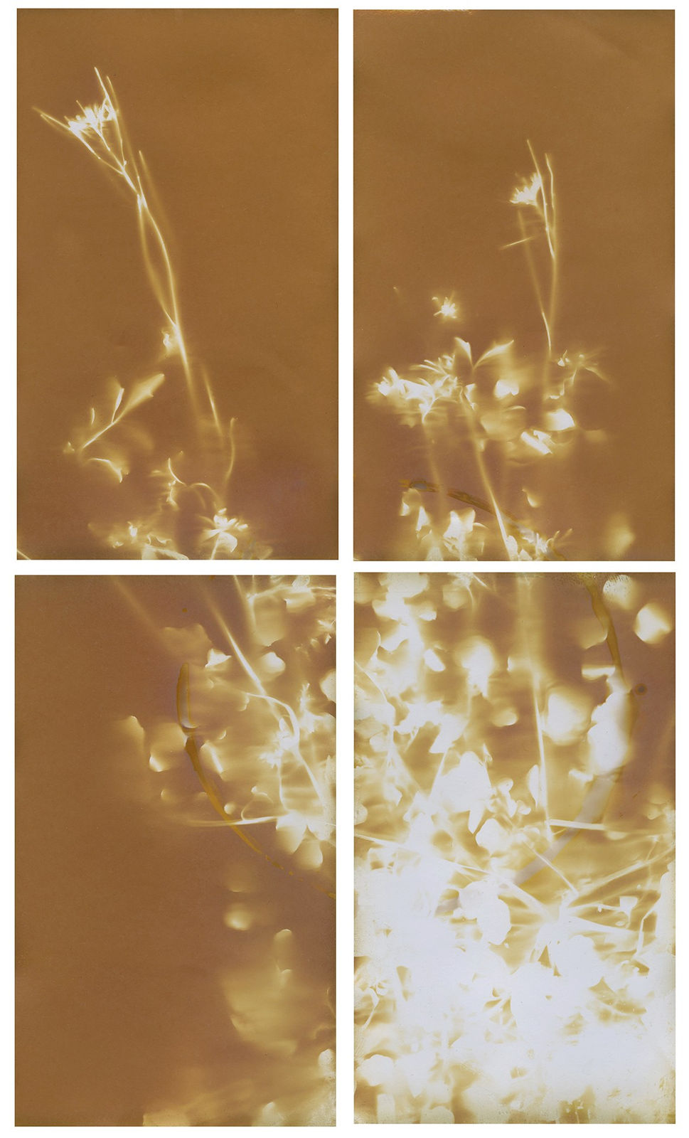 Maggie Flanigan, They Grew Stronger on Catherine St, 2019