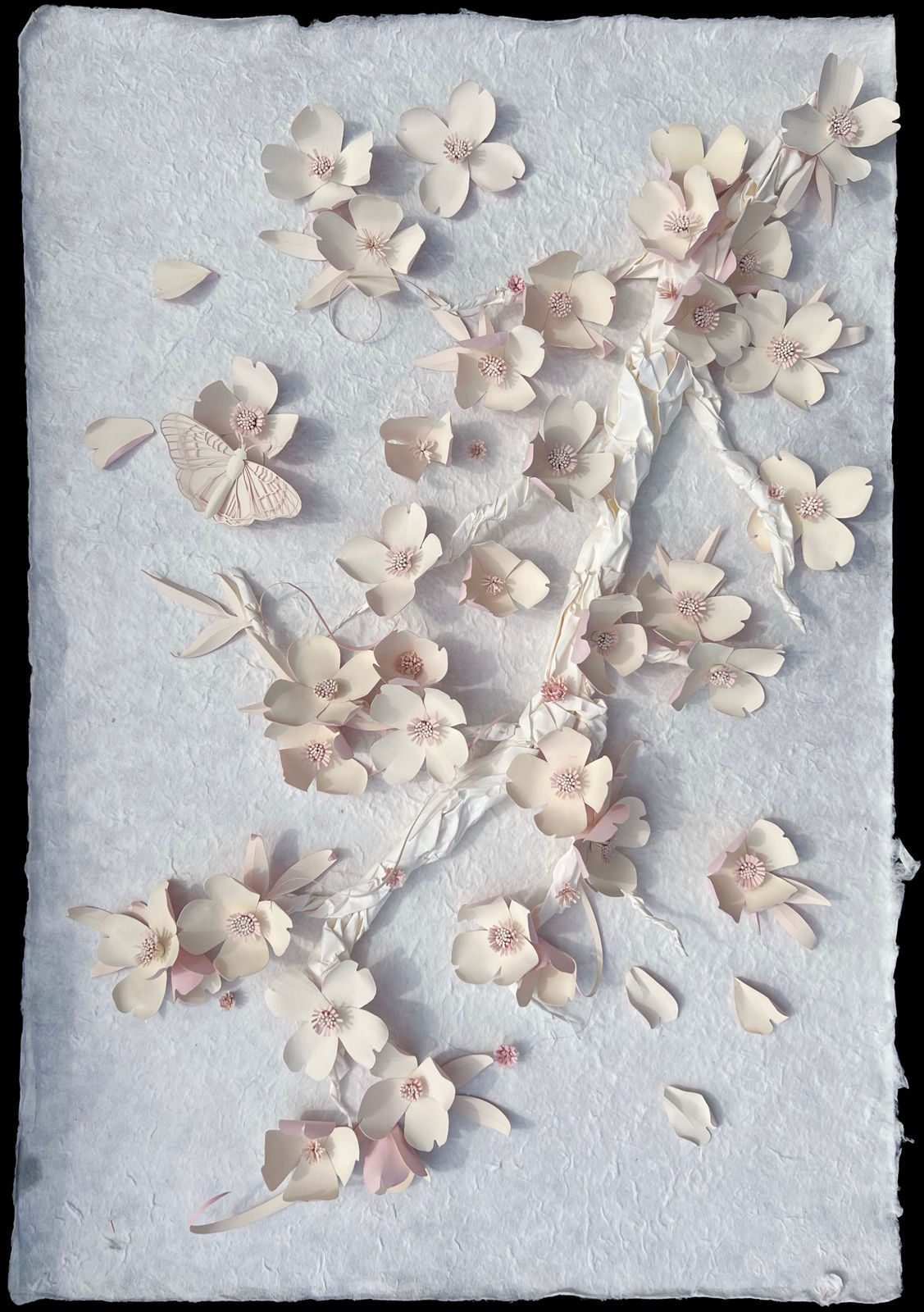 Raven Smith, Dogwoods, 2024