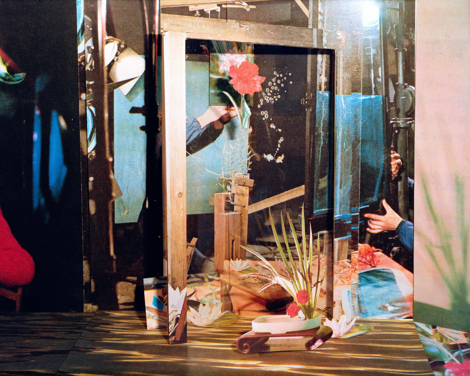 Xi LI 李希, 康乃馨 Carnation, 2025