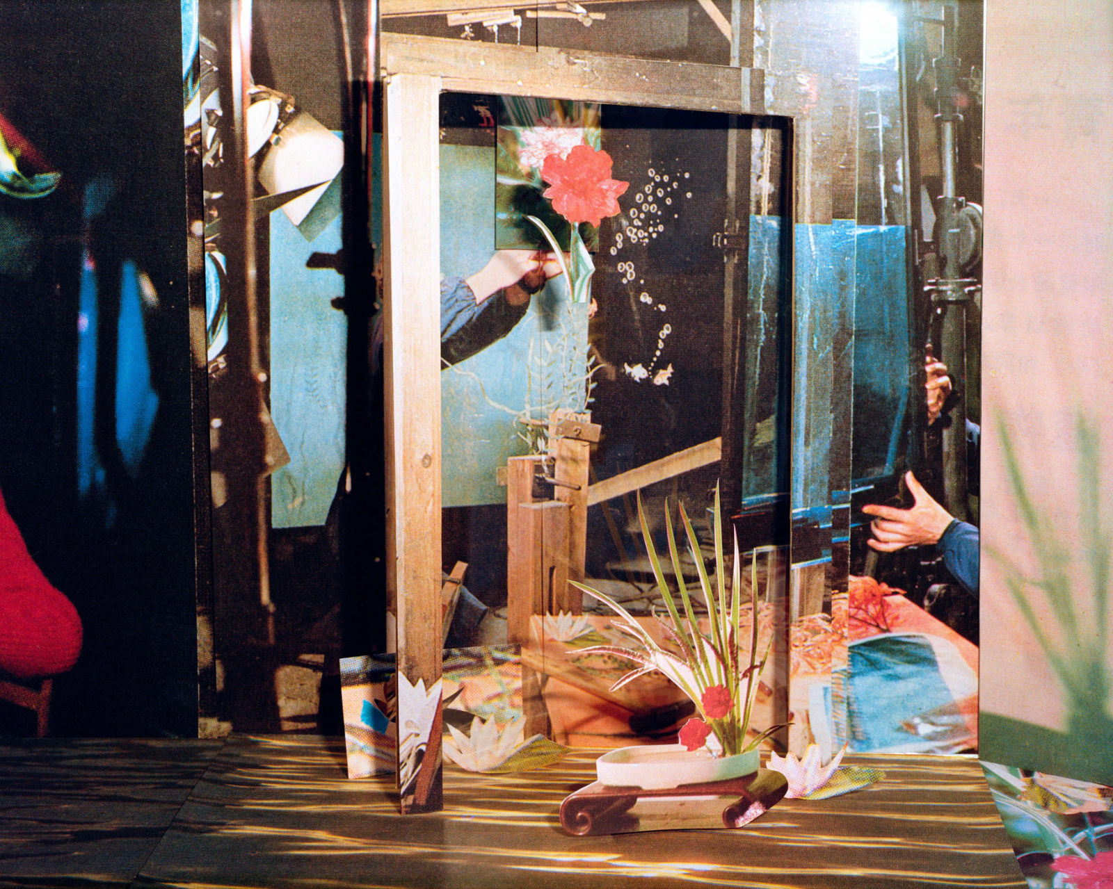 Xi LI 李希, 康乃馨 Carnation, 2025