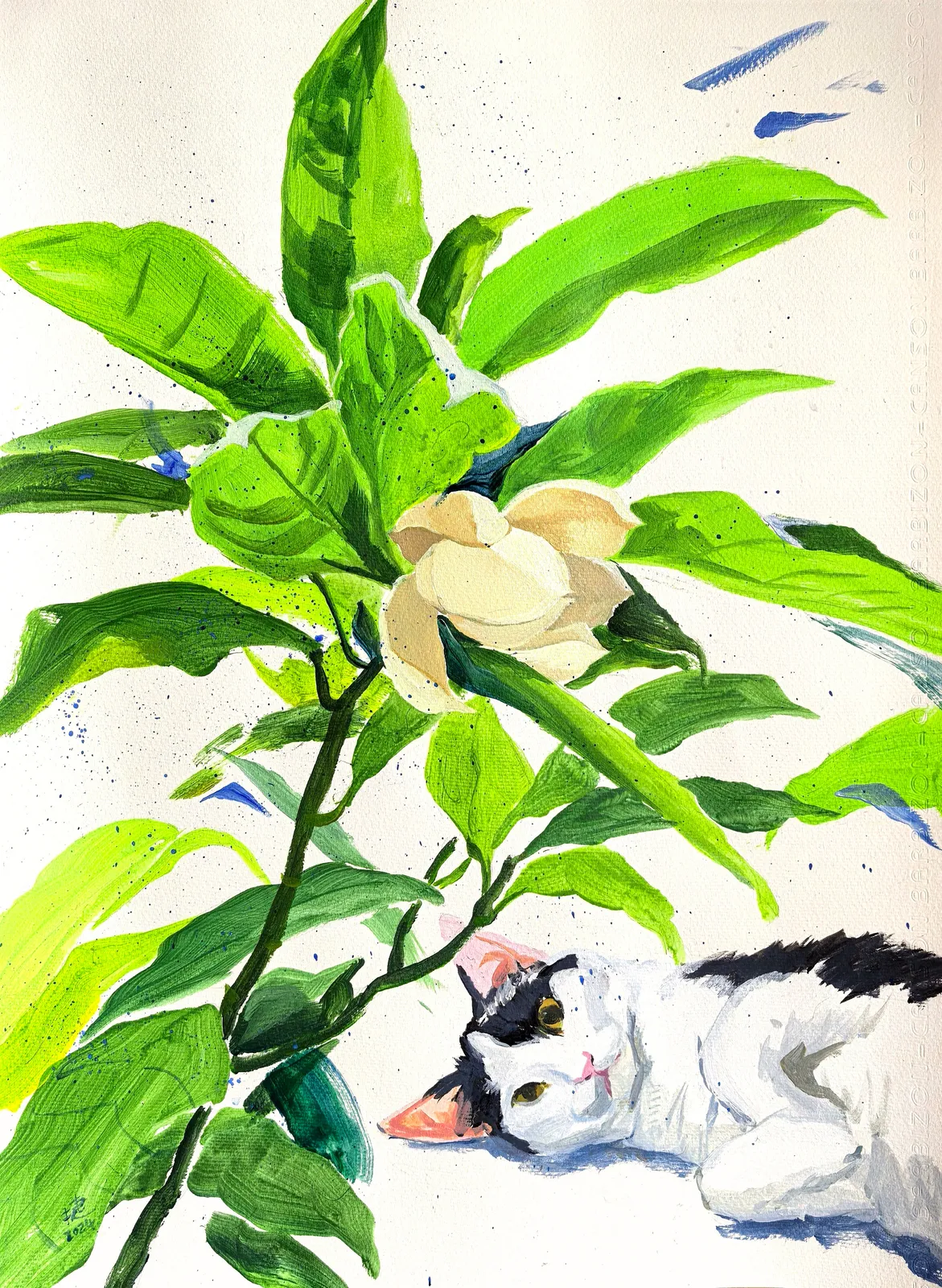 林文捷 Lin Wenjie, 木兰 Lily Magnolia, 2024