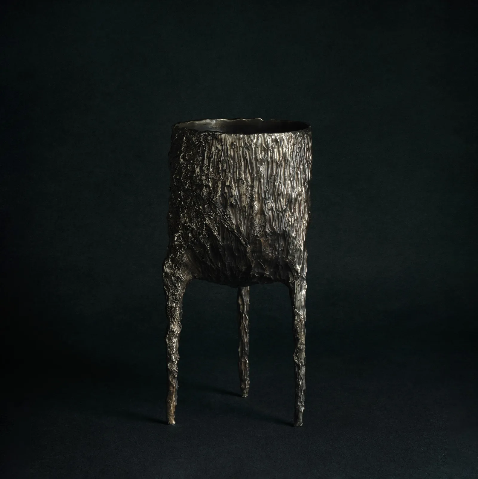 William Guillon, Omnia Vanitas - Vanité 13, 2022