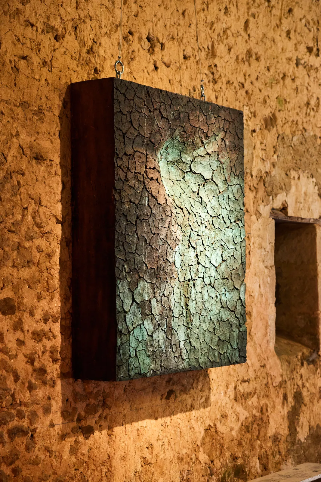 Gregory Ryan, Mother Earth