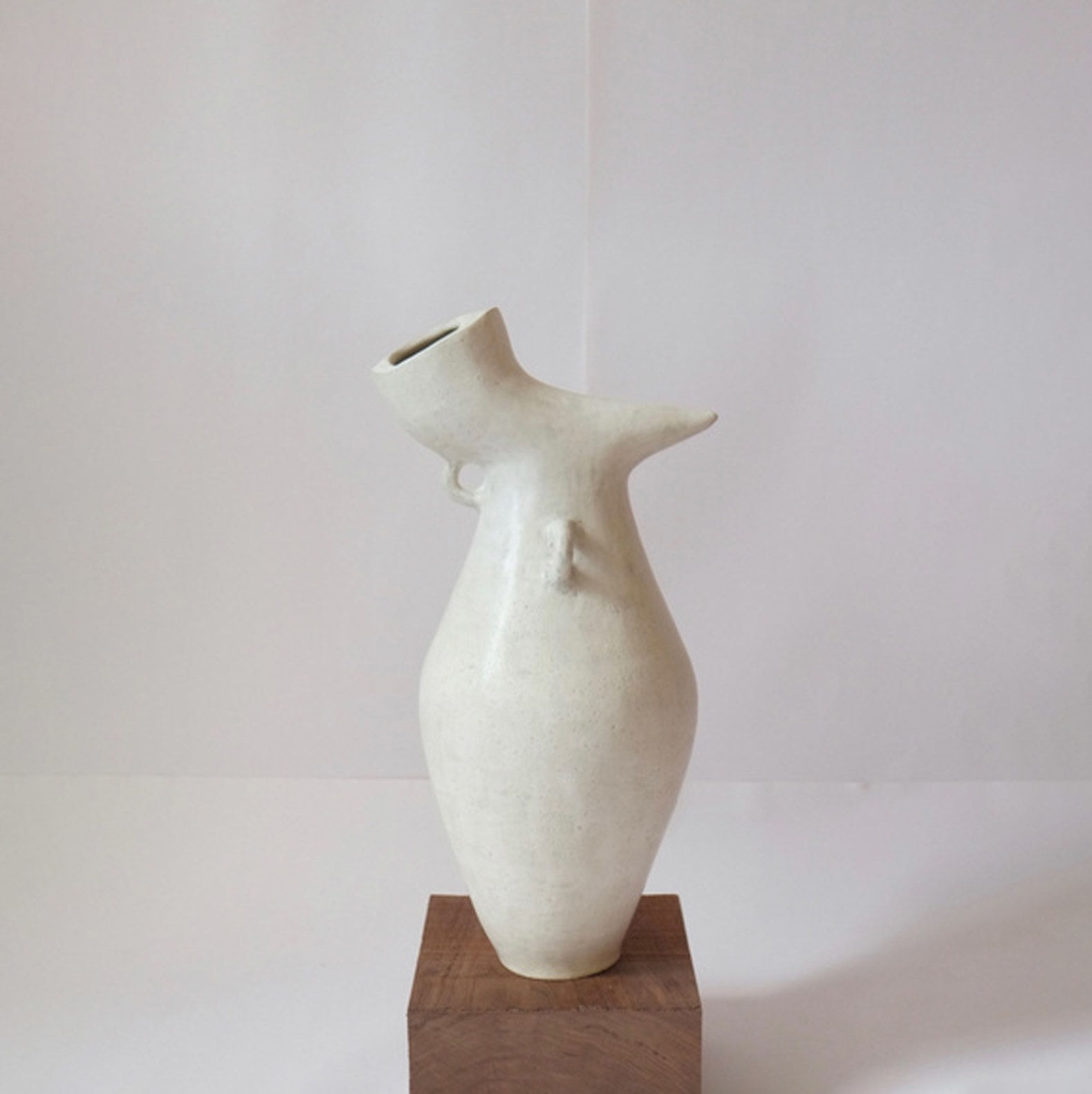 Charlyn Reyes, Bird Of Paradise Amphora, 2020