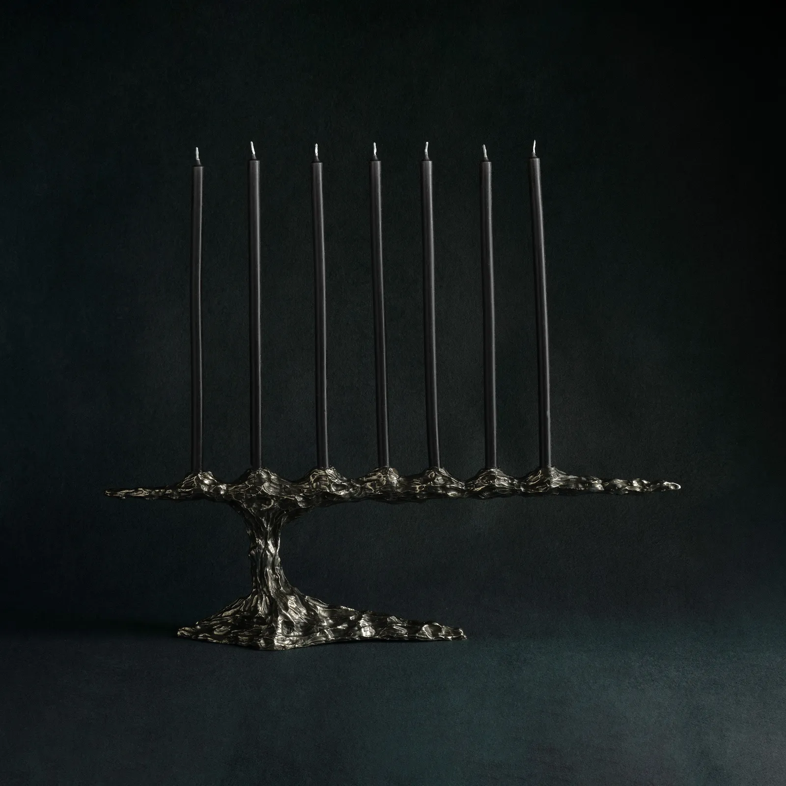 William Guillon, Omnia Vanitas - Vanité 28, 2022