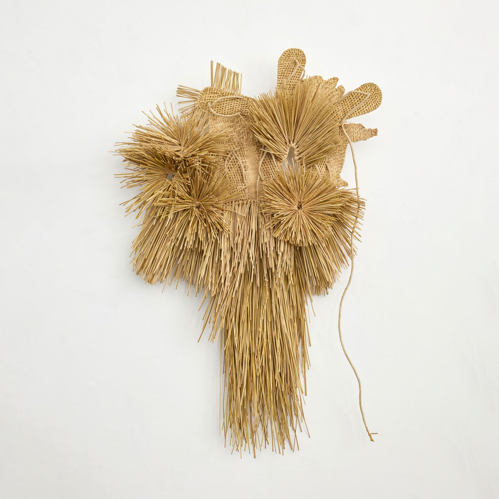 RF Studio, Tejido Coral (Coral Weave), 2024