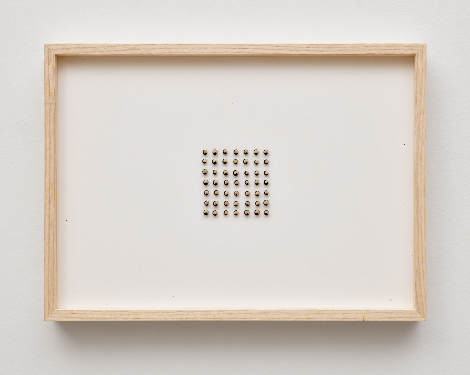 herman de vries, cardiospermum halicacabum, 2024