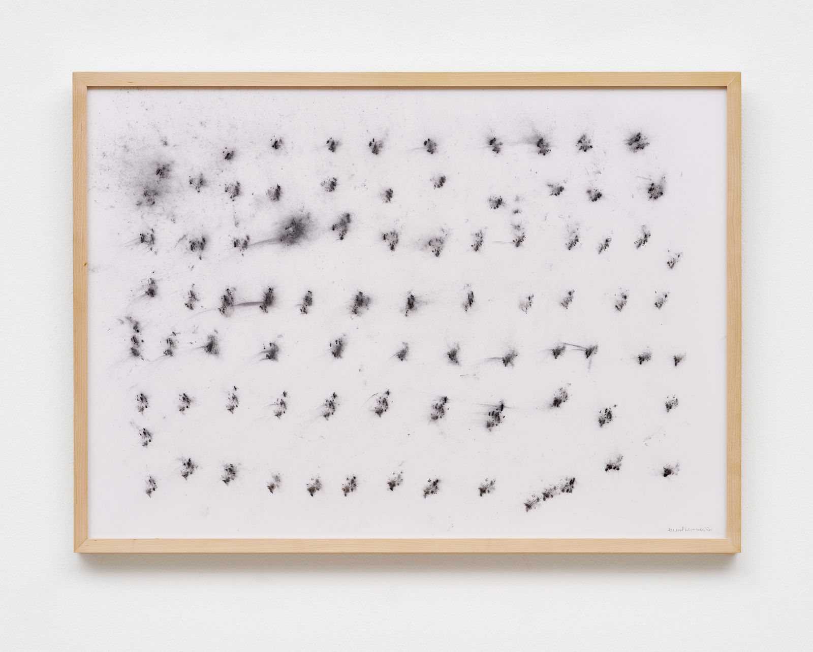 herman de vries, untitled (23-2-2018), 2018