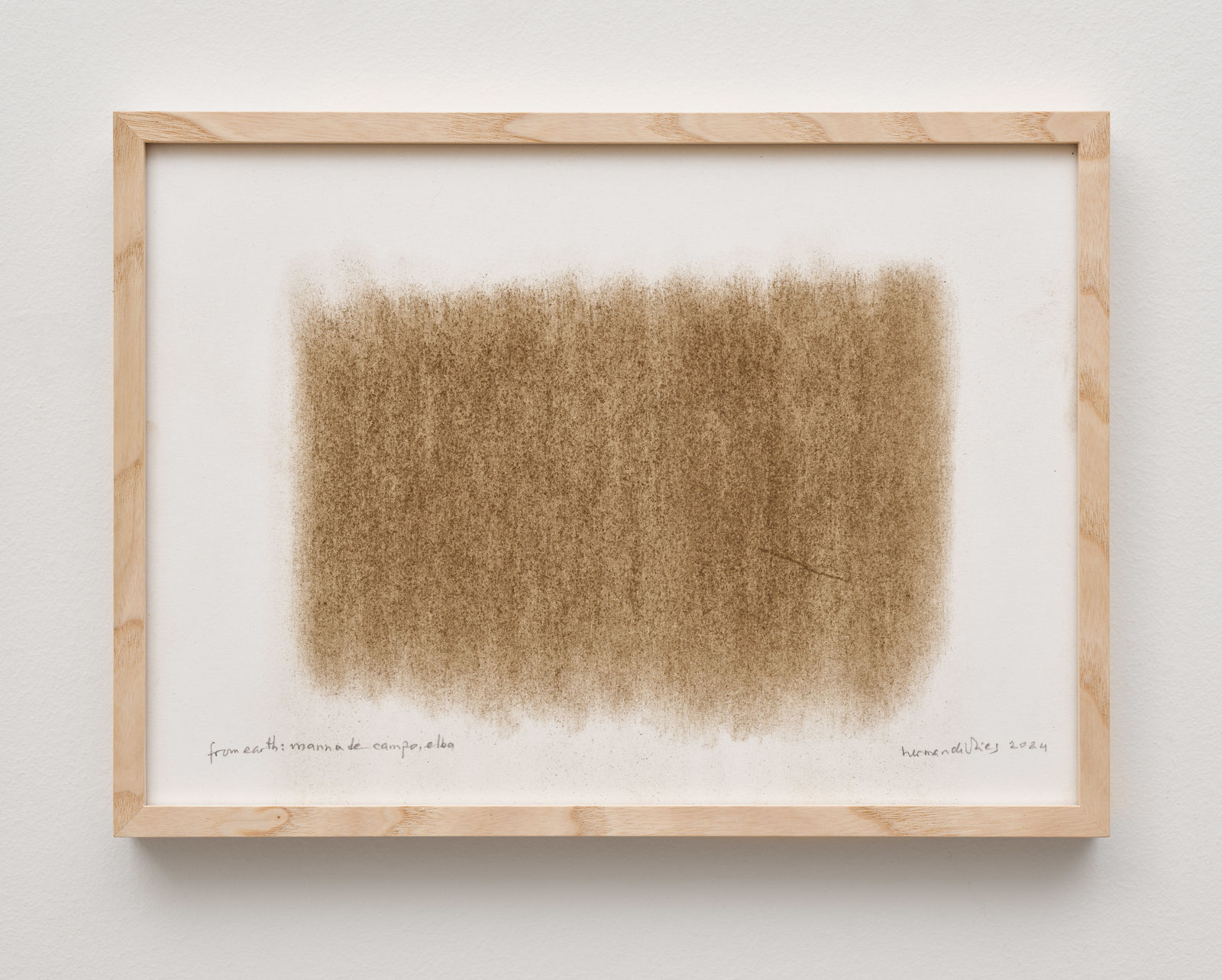 herman de vries, from earth: marina de campo, elba, 2024