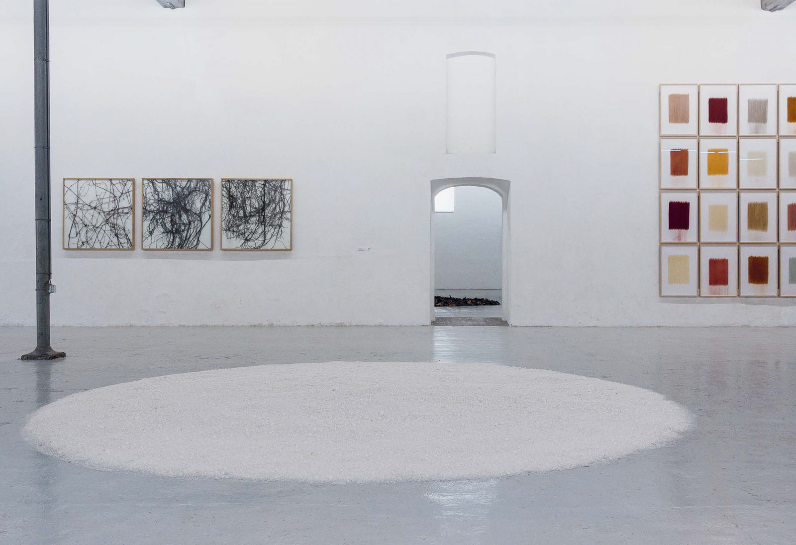 herman de vries, clematis - hopfen - knöterich, 2001