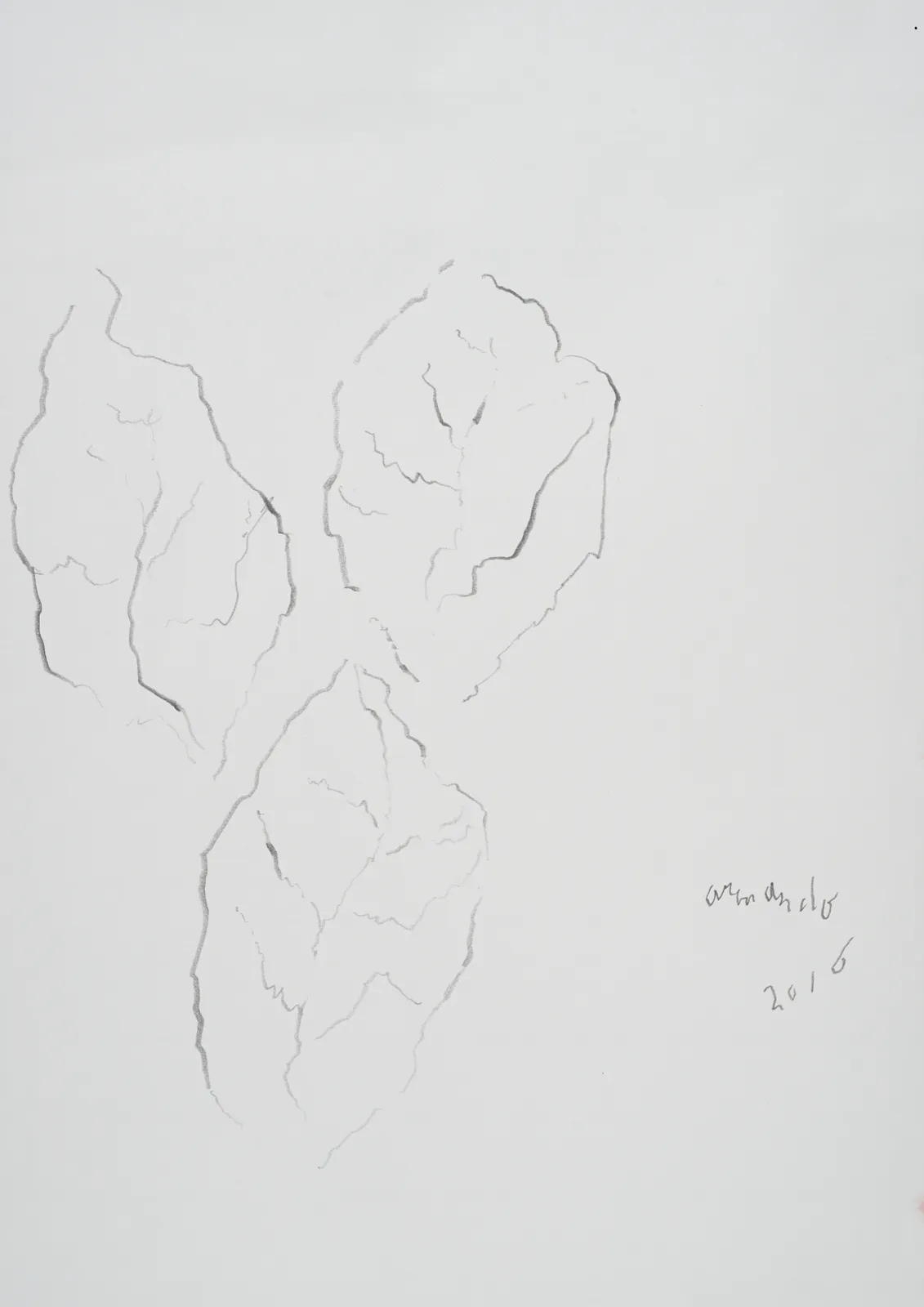 Armando, Blätter, 2016