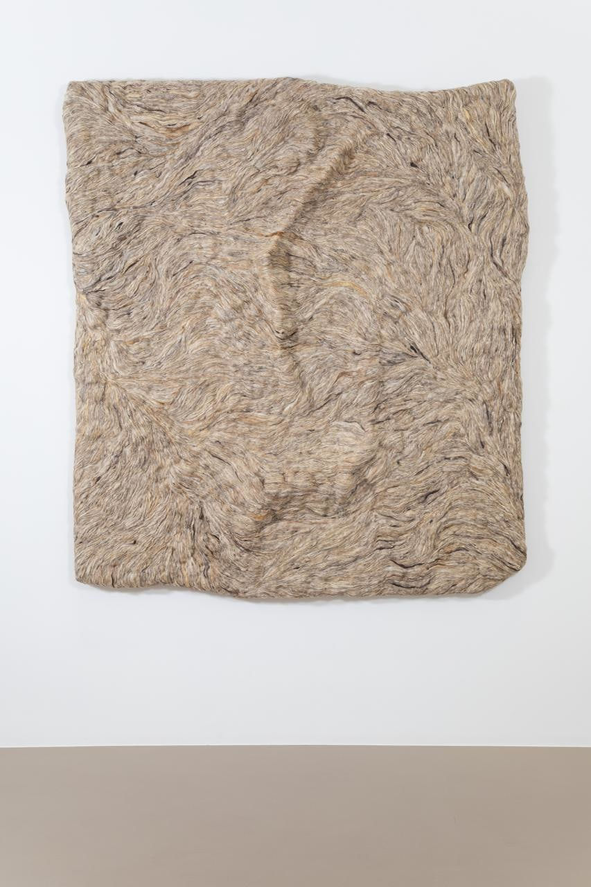 Betül Özkan, Sheel, 2025