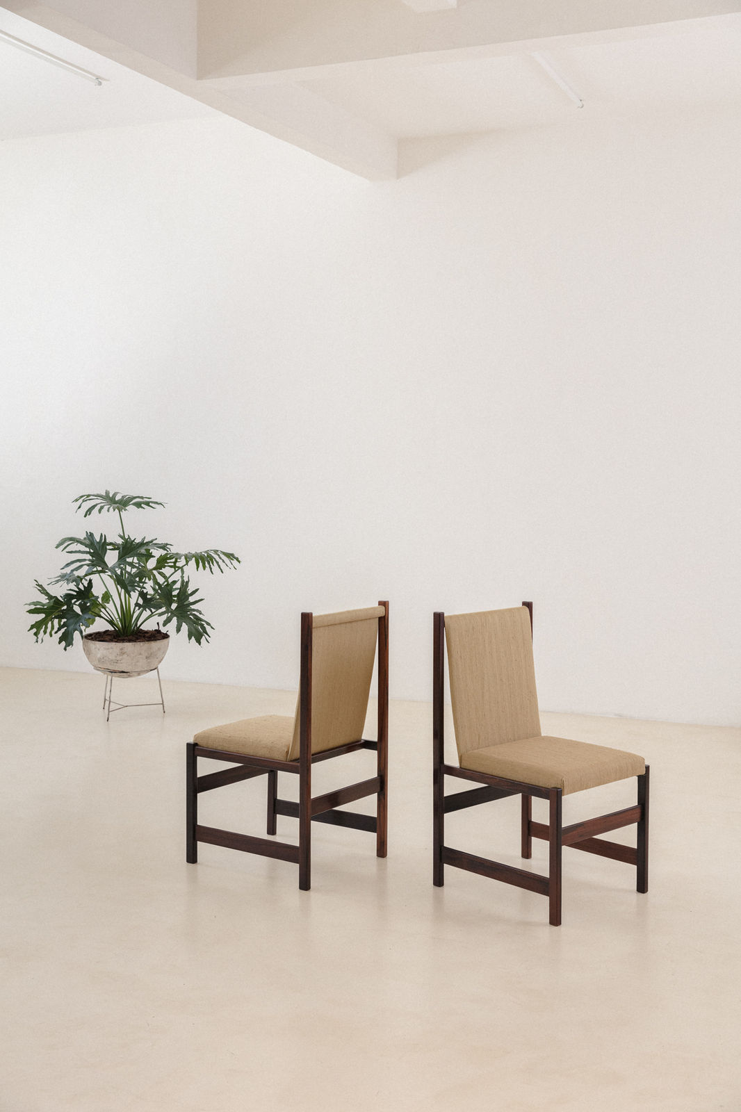Celina Decorações, Rosewood Dining Chairs (4 units), 1960s