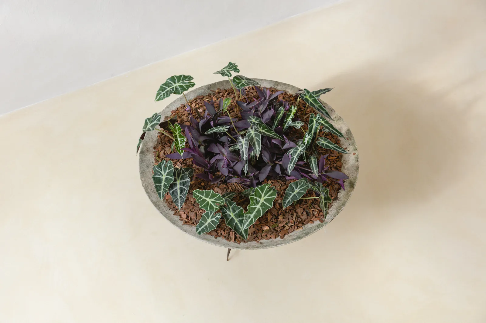 Willy Guhl, Greek Planter, 1960s