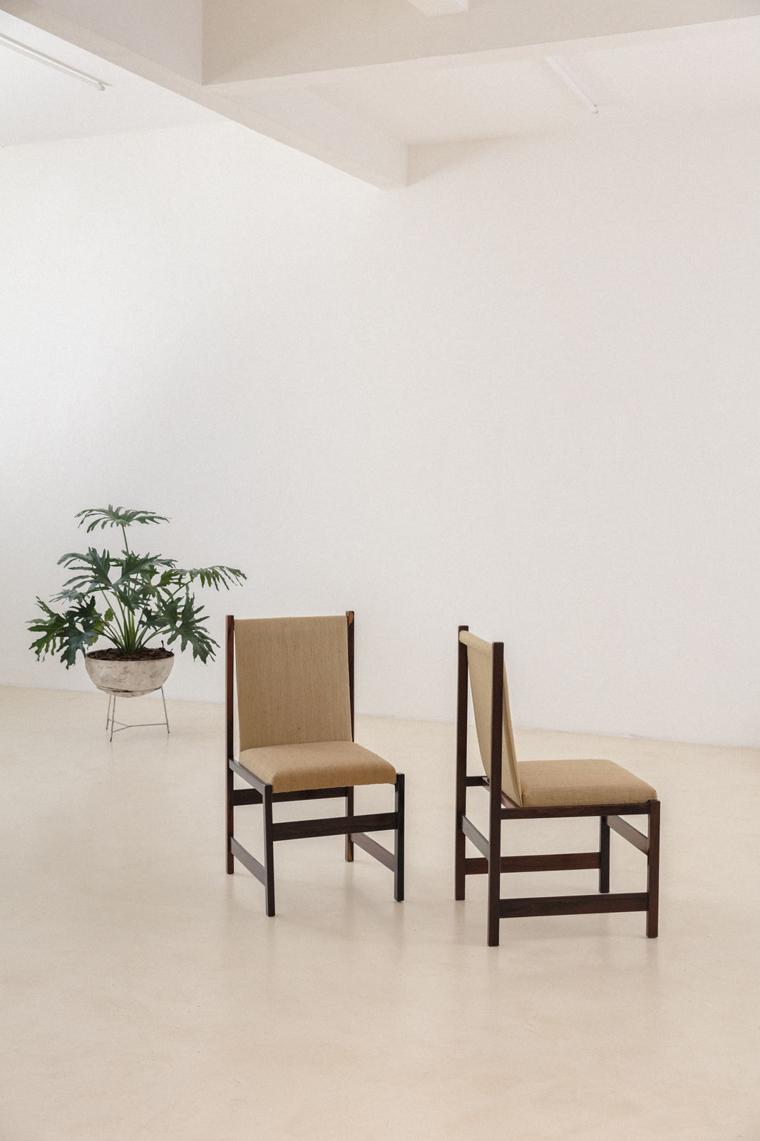 Celina Decorações, Rosewood Dining Chairs (4 units), 1960s