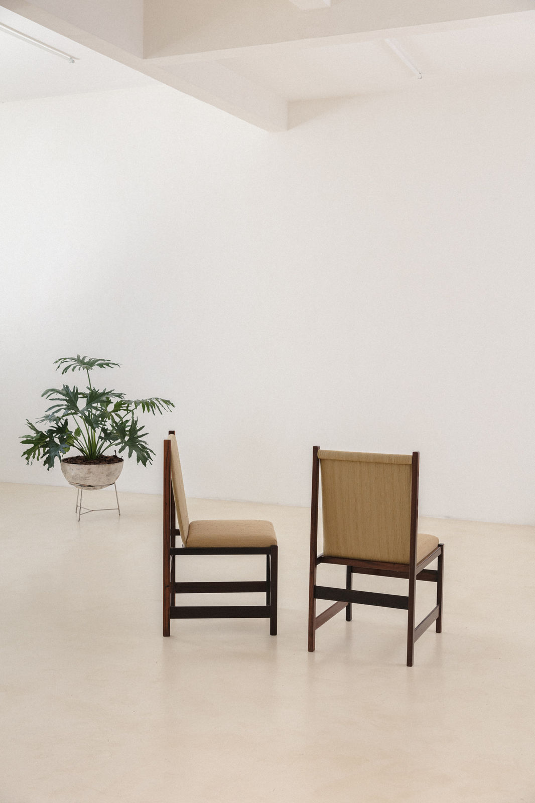 Celina Decorações, Rosewood Dining Chairs (4 units), 1960s