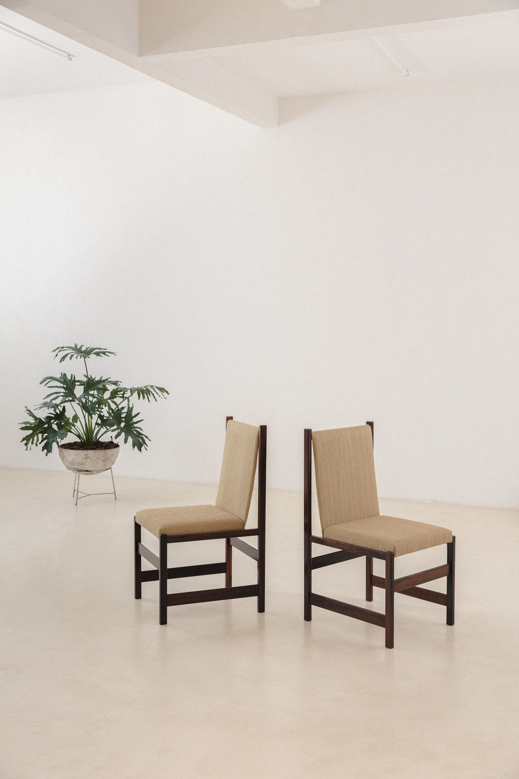 Celina Decorações, Rosewood Dining Chairs (4 units), 1960s