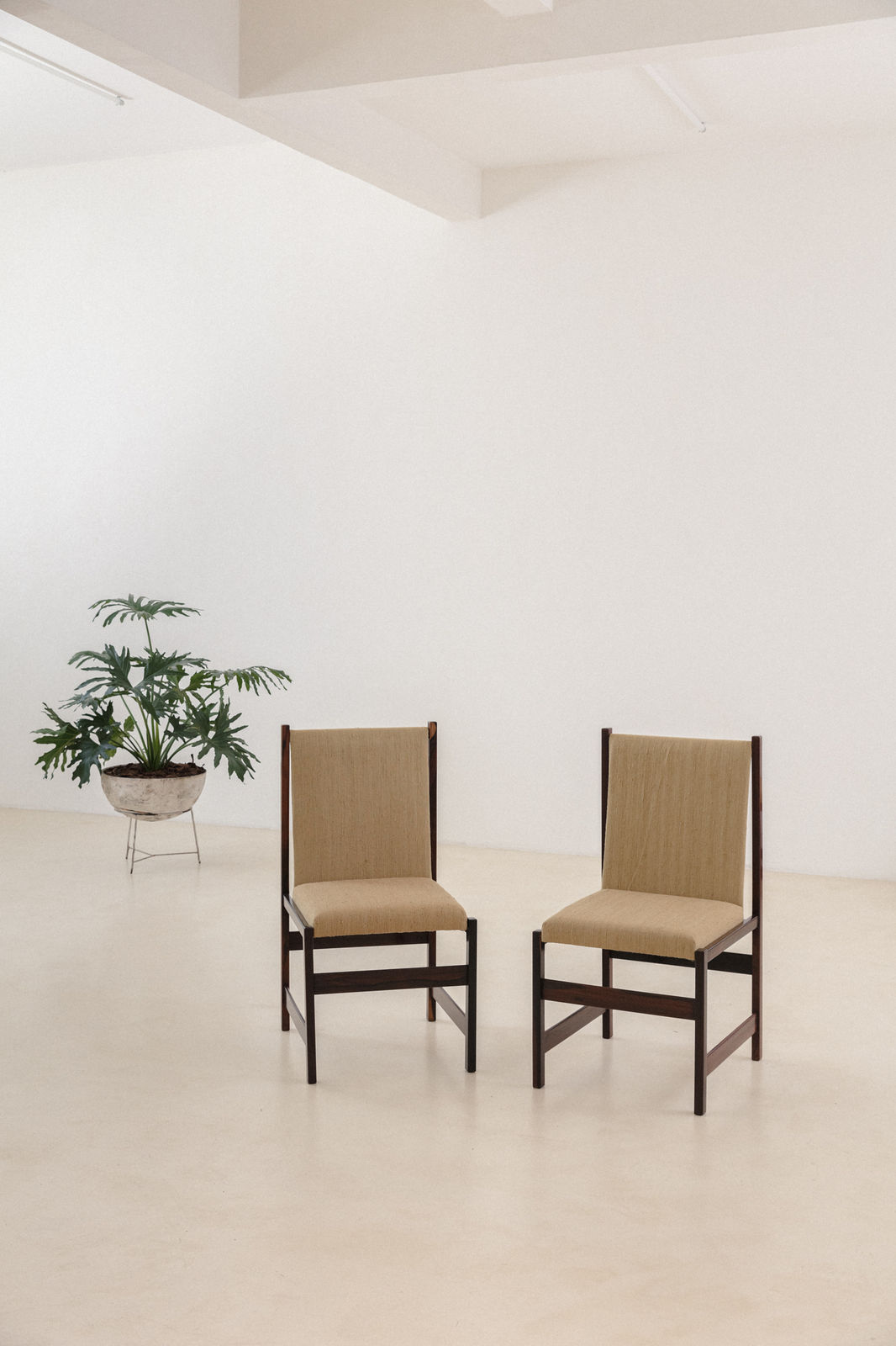 Celina Decorações, Rosewood Dining Chairs (4 units), 1960s